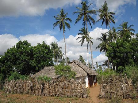 On the road to Msambweni Beach