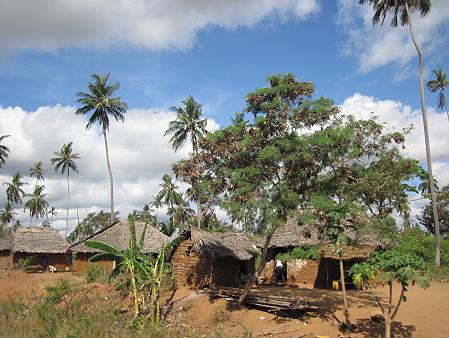 On the road to Msambweni Beach