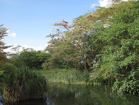 Hunters Lodge - Twanduu - Kiboko