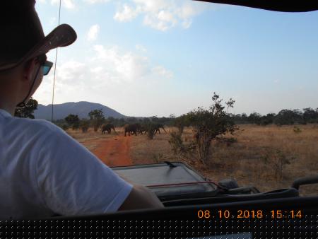 Game Drive im Ngutuni Reservat