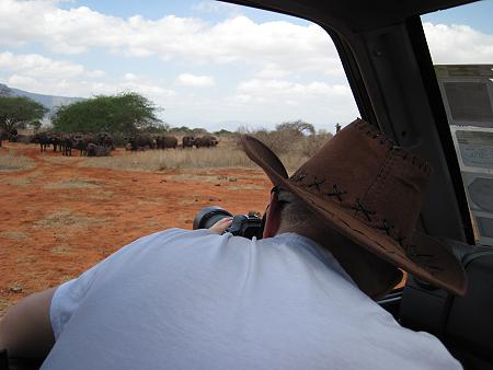 Game Drive im Ngutuni Reservat