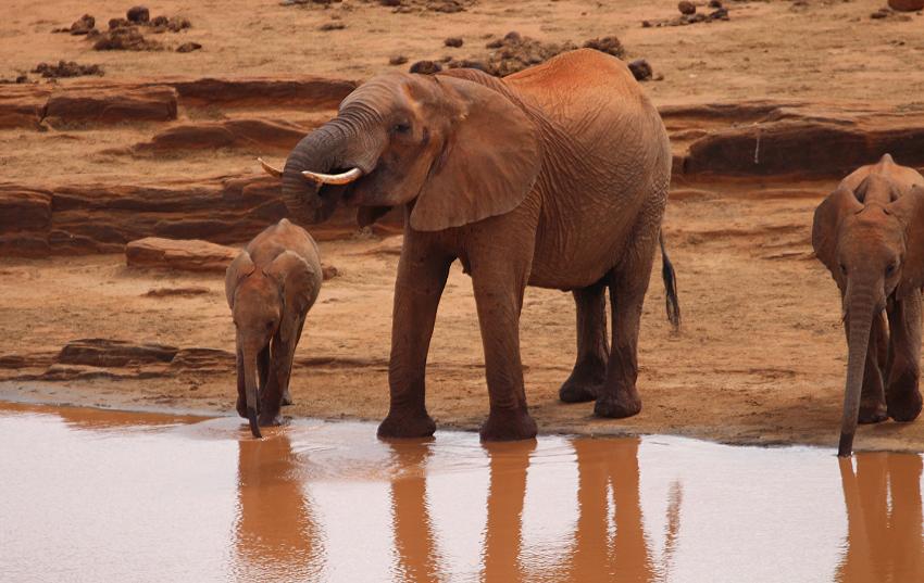 Mudanda Rock - Tsavo Ost