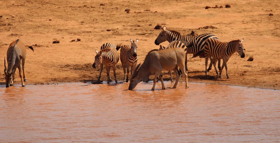 Mudanda Rock - Tsavo Ost