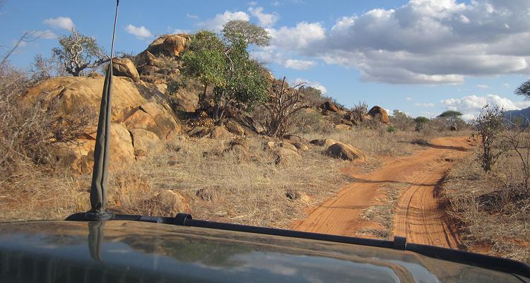 Ngutuni Reservat - Tsavo Ost