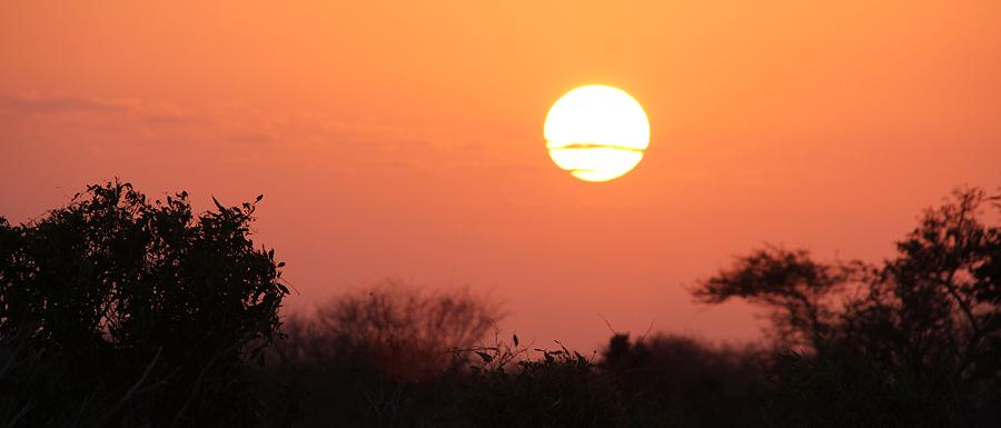 Sonnenaufgang Ngutuni Reservat