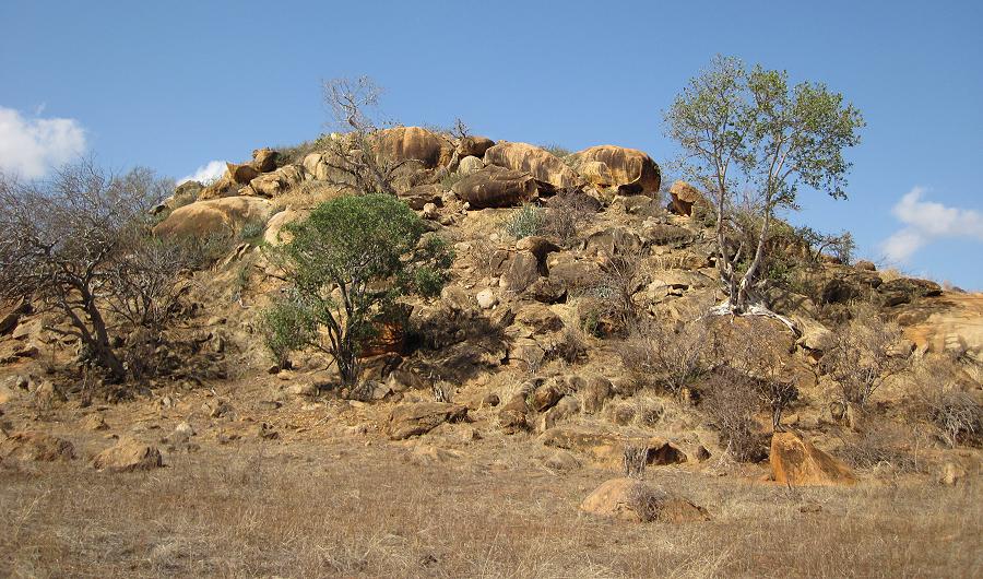 Ngutuni Hills