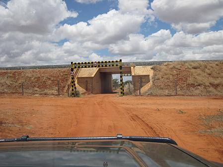 Ngutuni Reservat - Tsavo