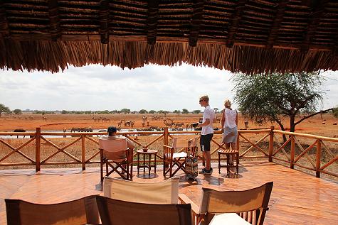 Ngutuni Lodge - Ngutuni Reservat