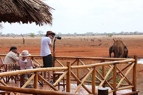 Ngutuni Lodge - Ngutuni Reservat