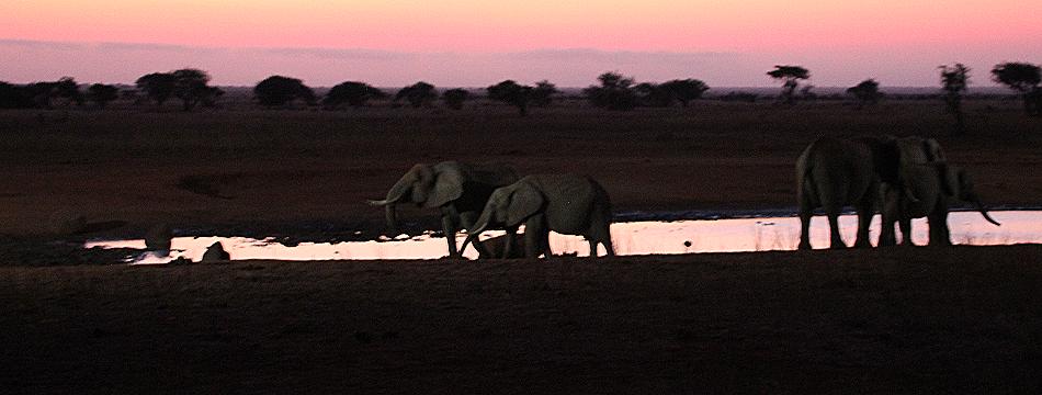 Ngutuni Lodge und Wasserstelle
