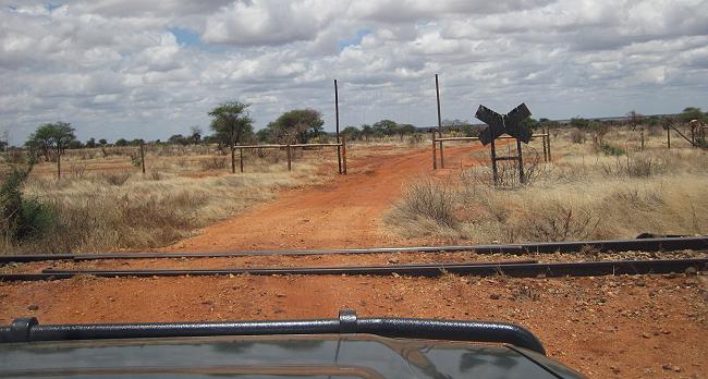 Ngutuni Reservat - Tsavo