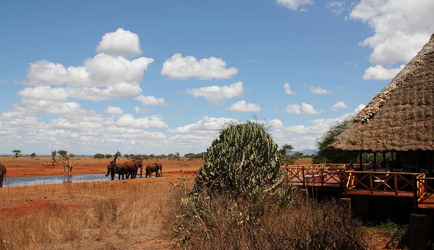 Ngutuni Lodge - Ngutuni Reservat - Tsavo Ost