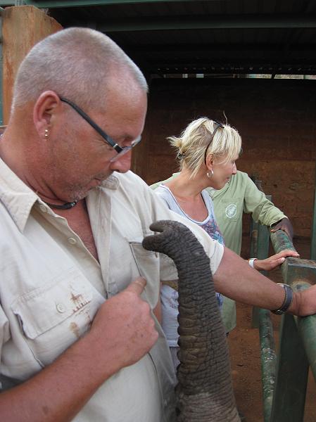 David Sheldrick Wildlife Trust - Voi Stockade - Tsavo Ost