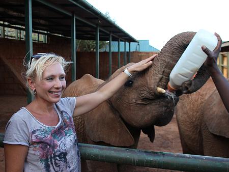 David Sheldrick Wildlife Trust - Voi Stockade - Tsavo Ost