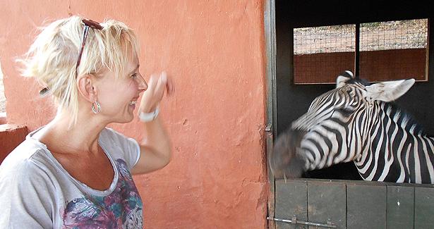 David Sheldrick Wildlife Trust - Voi Stockade - Tsavo Ost