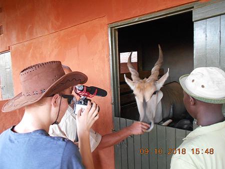 David Sheldrick Wildlife Trust - Voi Stockade - Tsavo Ost
