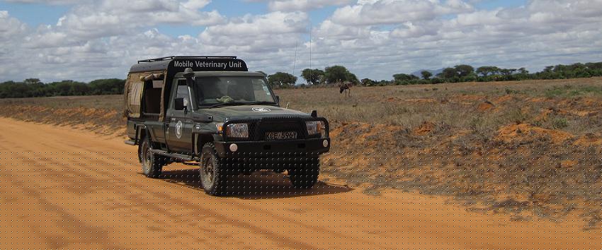 Veterinär Team des DSWT