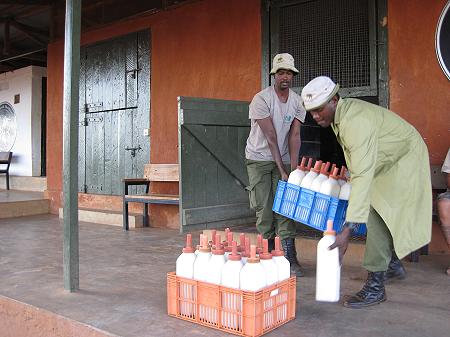 David Sheldrick Wildlife Trust - Voi Stockade - Tsavo Ost