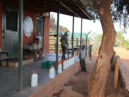 David Sheldrick Wildlife Trust - Voi Stockade - Tsavo Ost