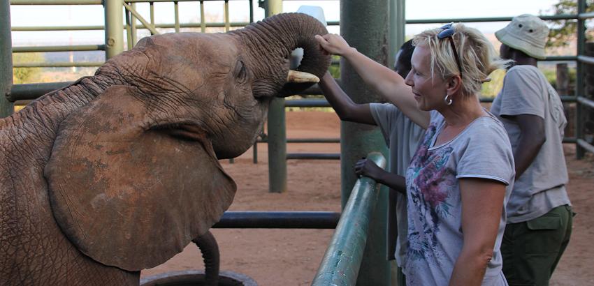 David Sheldrick Wildlife Trust - Voi Stockade - Tsavo Ost