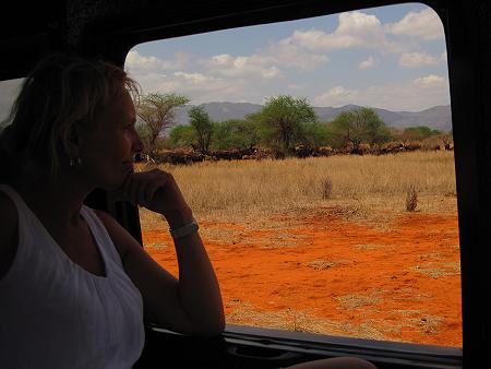 Game Drive im Ngutuni Reservat