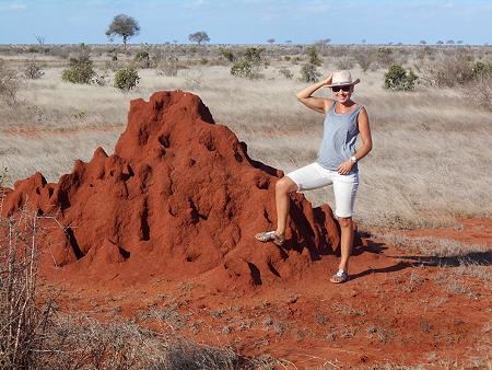 Tsavo Game Drive