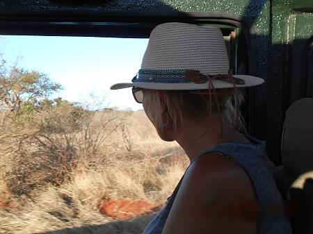 Game Drive