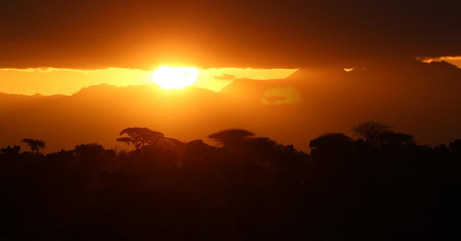 Tsavo Sundowner