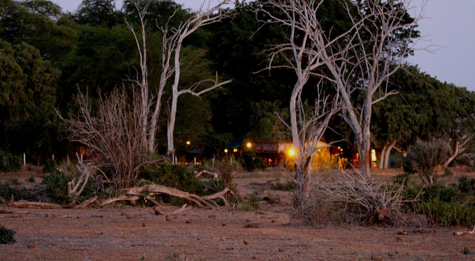 Tarhi Camp, Sentrim Tsavo