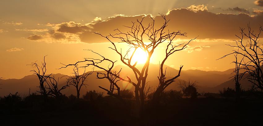 Sonnenuntergang im Tsavo Ost