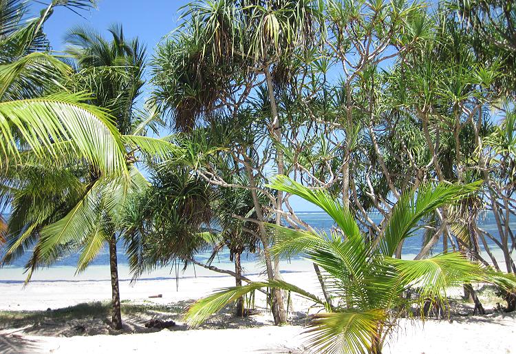 Kenia Strand