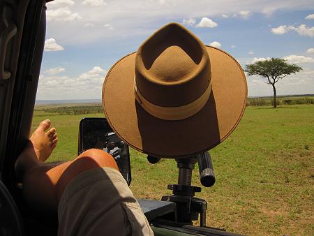 5 Geparden FAST FIFE, Masai Mara
