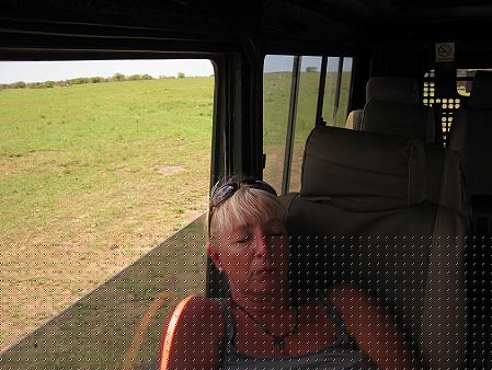 5 Geparden FAST FIFE, Masai Mara