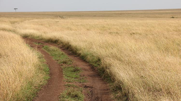 Masai Mara Anfang September 2018