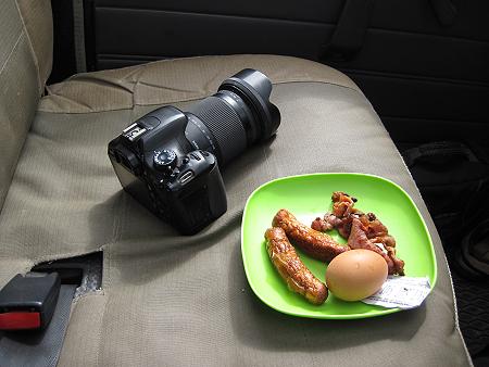 Mara Game Drive