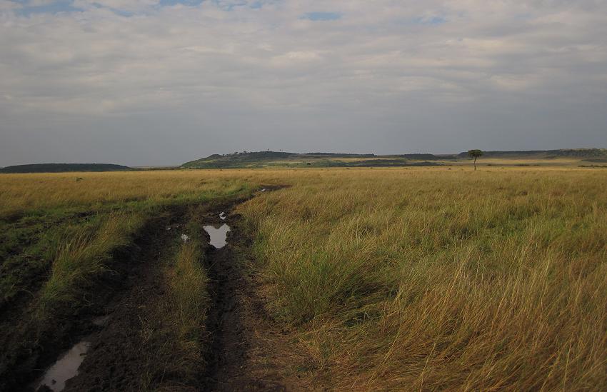 Masai mara break down