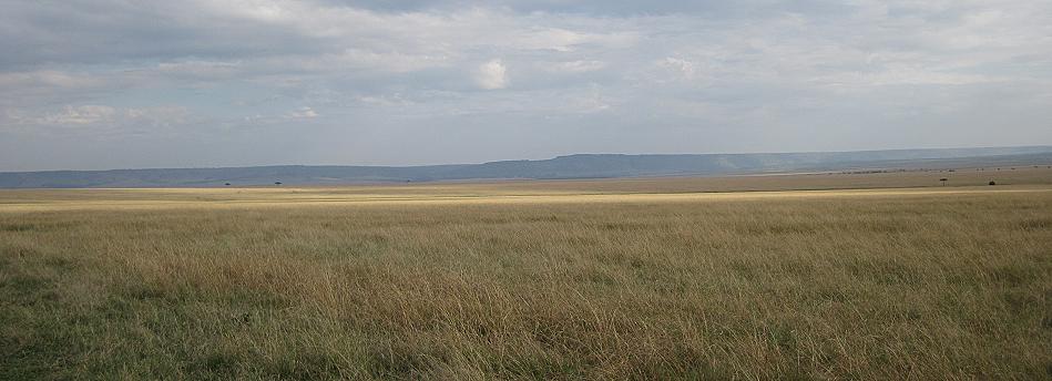 Masai mara break down