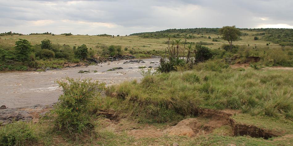 Masai Mara