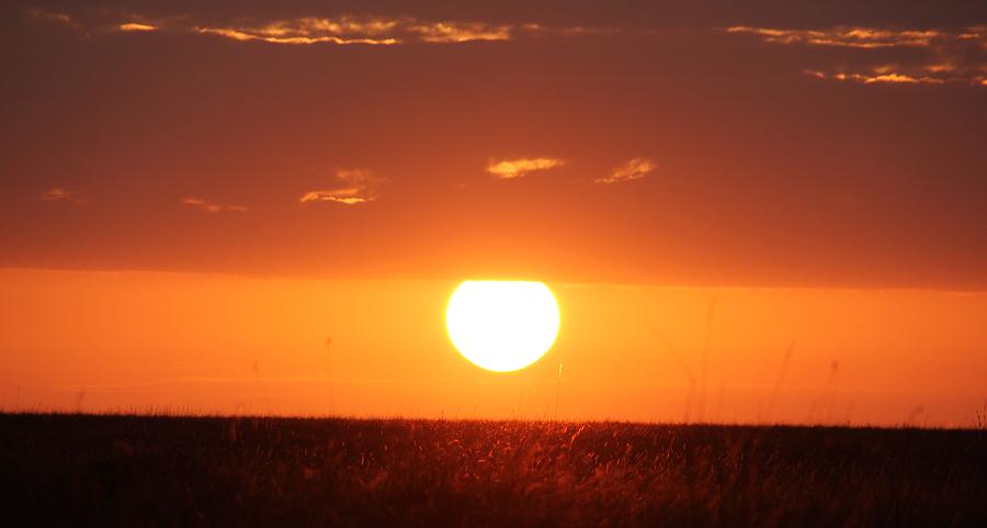 Sonnenaufgang Masai Mara