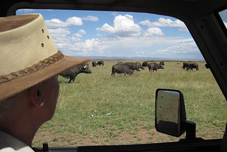 Mara Game Drive, selfdrive