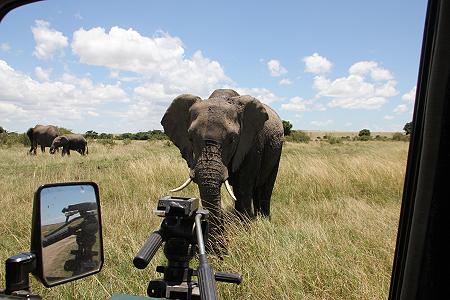 Mara Game Drive, selfdrive
