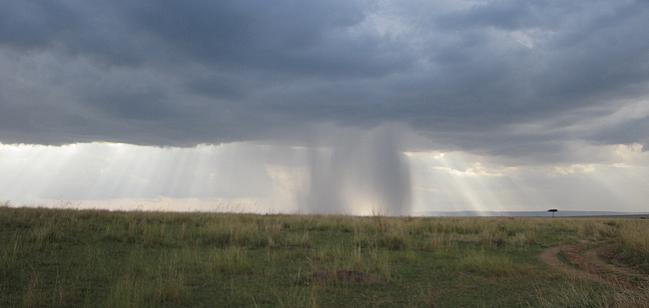 Masai Mara