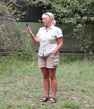 Mara Bush Camp