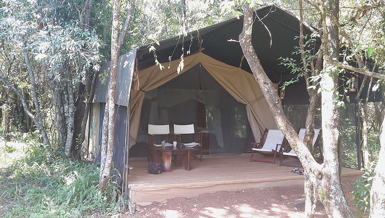 Mara Bush Camp - Olare Orok