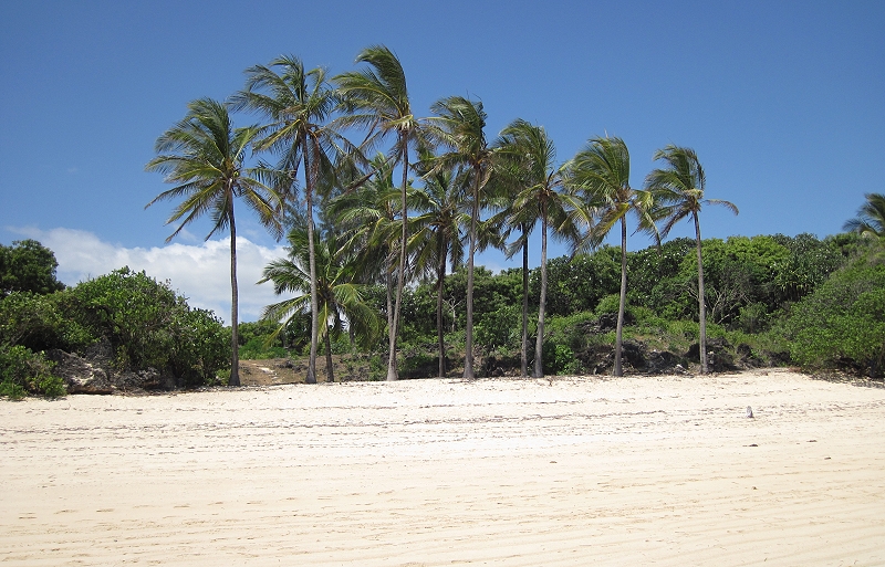 Kuruvitu Beach