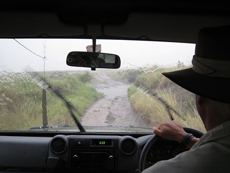 Regen in der Masai Mara