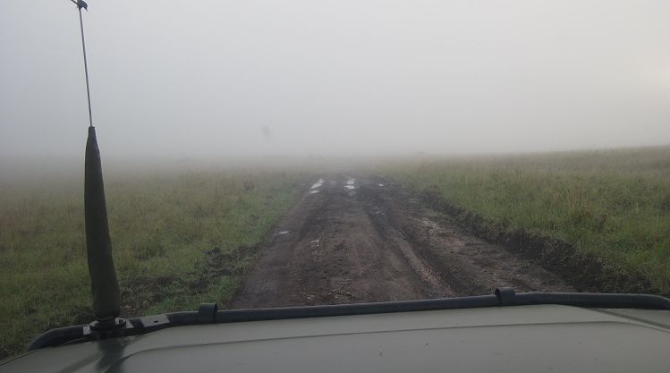 Nebel in der Masai Mara