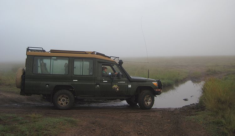 Nebel in der Masai Mara