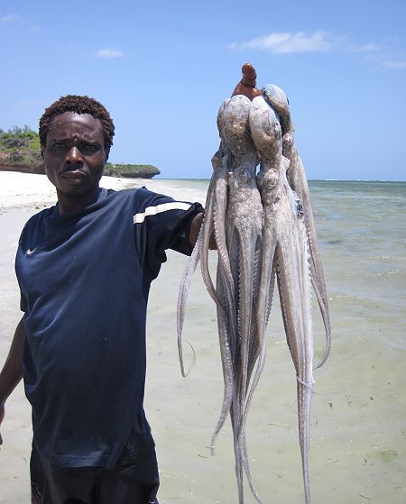 Monsoon Fish Restaurant - Jumba Beach