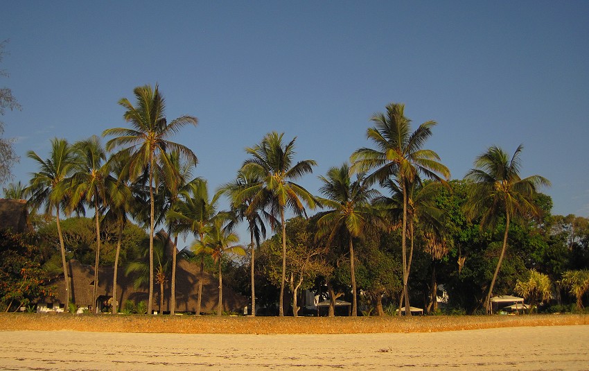 Ocean View Village Club - Diani Beach